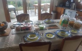 Ponga B&B